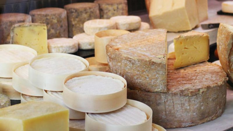 Fromagerie bio : pourquoi opter pour du fromage issu de l&rsquo;agriculture biologique ?