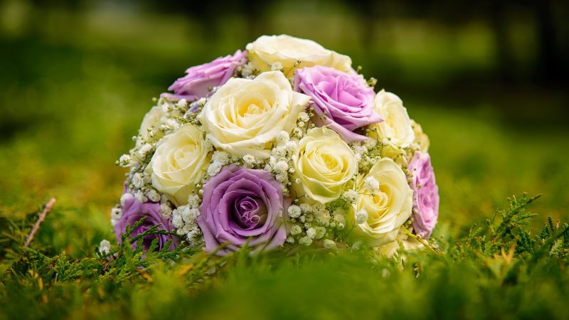 Composition florale sur mesure : pourquoi faire appel à un fleuriste ?