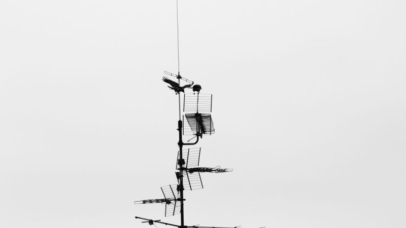 Antenne déportée pour améliorer le signal du transmetteur GSM