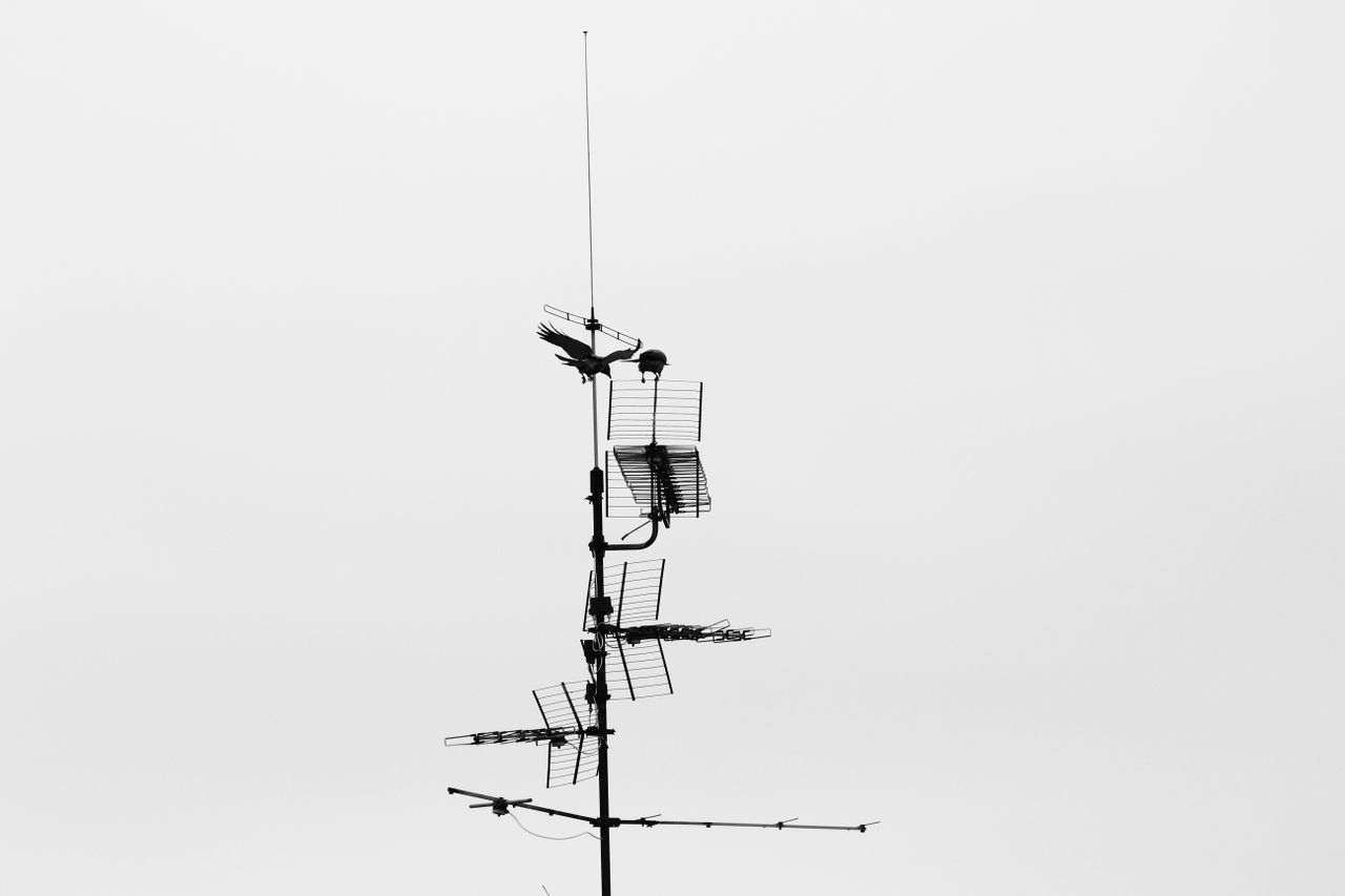 Antenne déportée pour améliorer le signal du transmetteur GSM